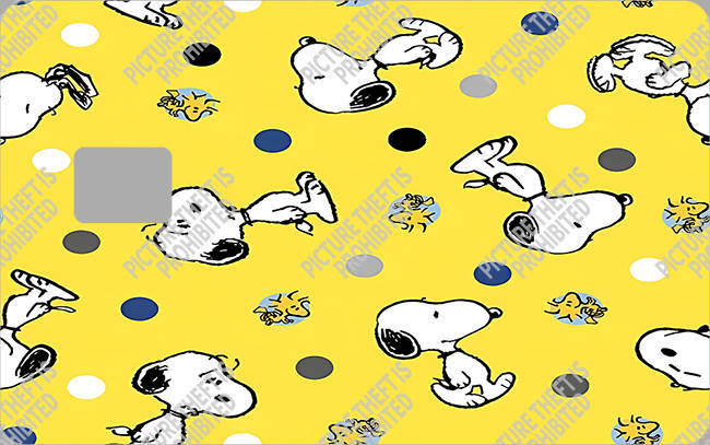 Bank  Card Sticker-BC-3989